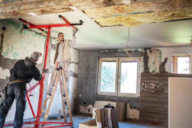 Best Insulation Removal  in Spackenkill, NY