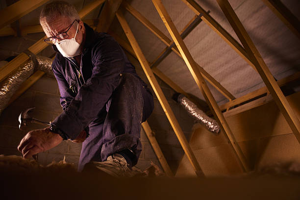 Best Home Insulation Services  in Spackenkill, NY